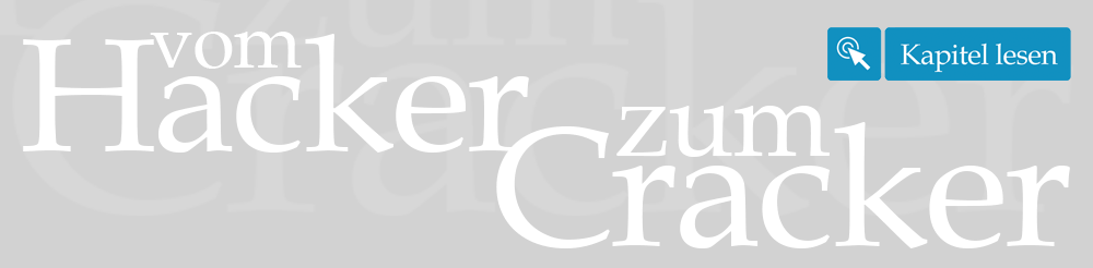 NO COPY: Vom Hacker zum Cracker