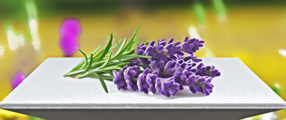 Lavender Benefits