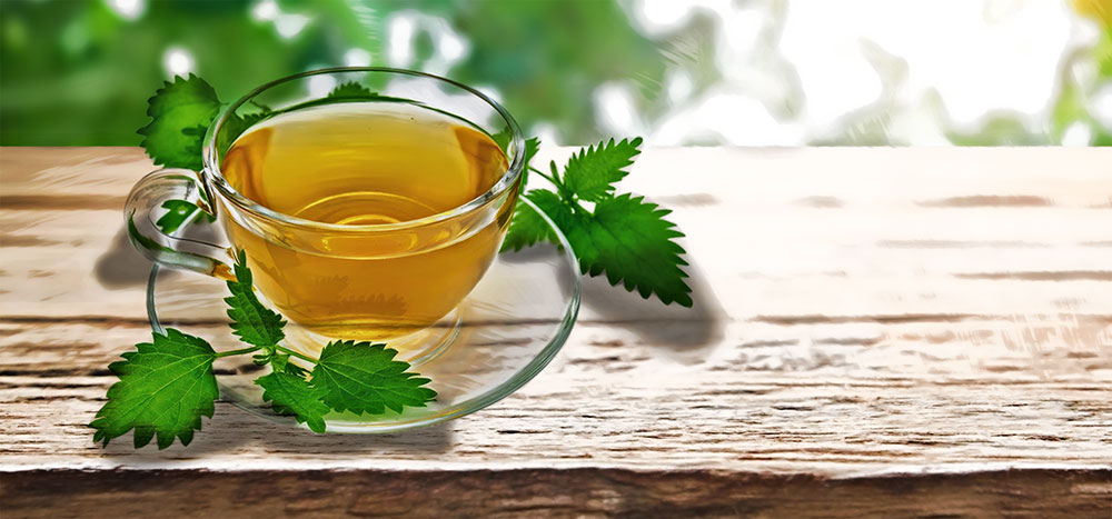 Nettle Leaf Tea