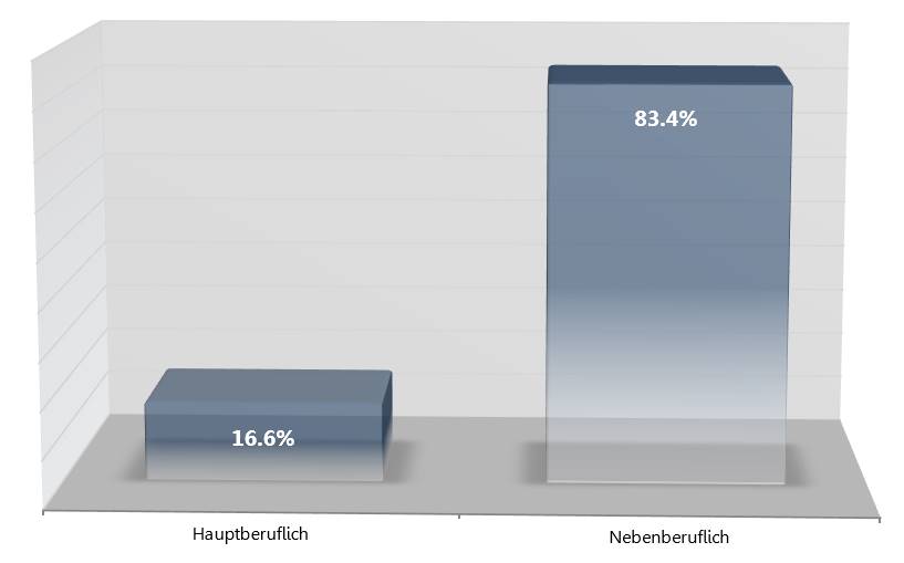 Blogger Betreiber Studie