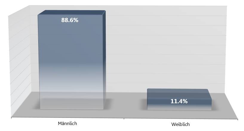 Blogger Betreiber Studie