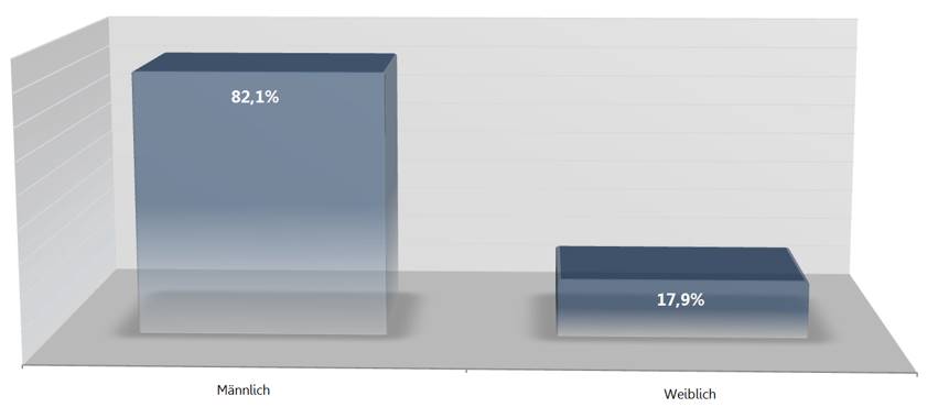 Blogger Studie