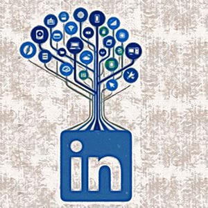 Kann man LinkedIn mit Social Media Monitoring auswerten?