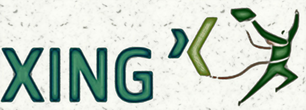 XING-Monitoring