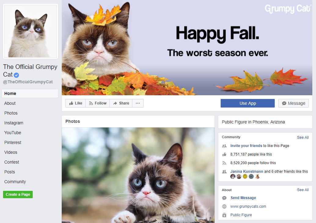 Grumpy Cat in Facebook