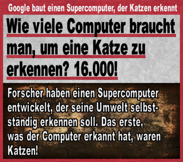 Zeitungsartikel über Google und Katze