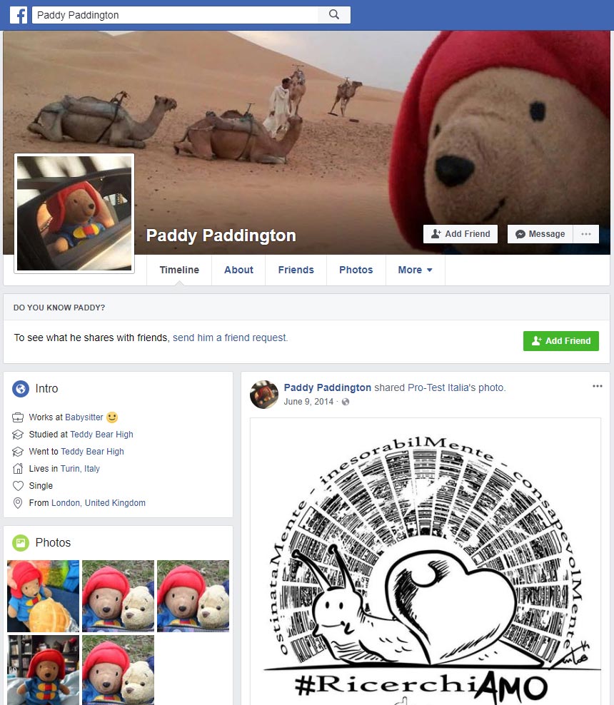 Paddy Padington in Facebook
