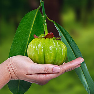 Garcinia Cambogia for Weight Loss